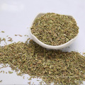 Chinese spices raw material Supplier wholesales growing fennel vegetable